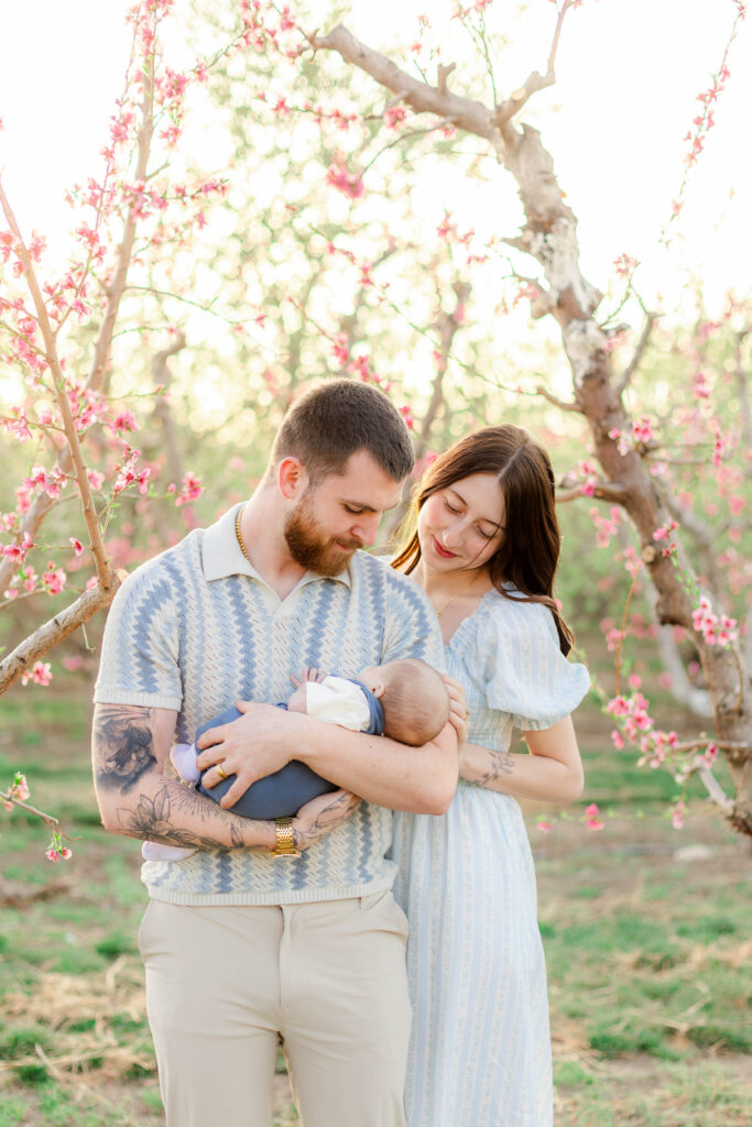 Utah family holding newborn baby in a blooming orchard during a soft and light-filled spring family photography session