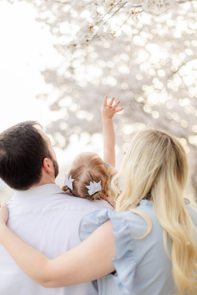 Toddler reaches up for cherry blossoms blooming in Utah while being held by parents.