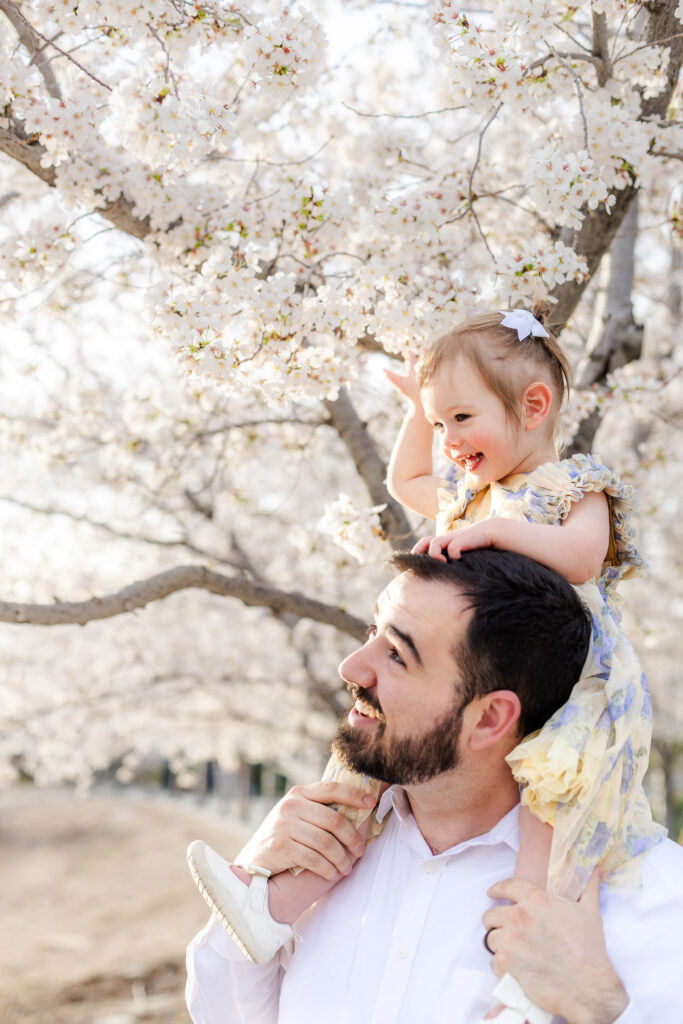 Baby girl laughs in the cherry blossoms during a Utah family photo session at golden hour.